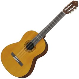 yamaha-C40-1