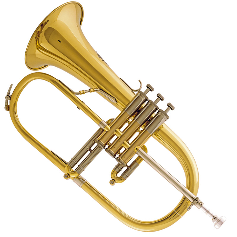 1070-Fluegelhorn-frei-VS-2-1