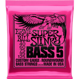 Ernie Ball Regular Slinky 40-125 2824