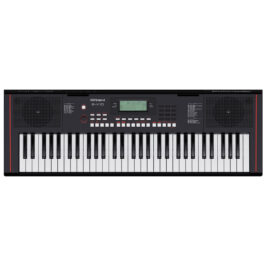 Roland E-X10