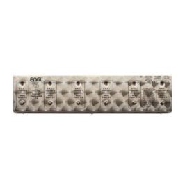 ENGL Z9 SAC-MIDI Foot Controller
