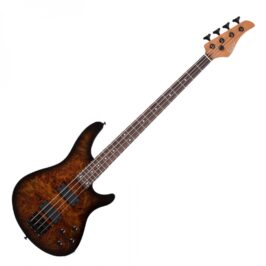 Schecter C-4 Tobacoo Burl 1