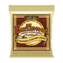 ernie ball 2013