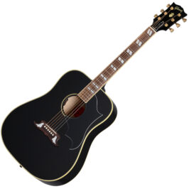 Elvis Dove Ebony 1