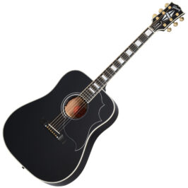 Hummingbird Custom Ebony 1