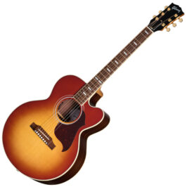 Parlor Rosewood EC Rosewood Burst 1